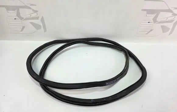 BMW X5 G05 Front door rubber seal 