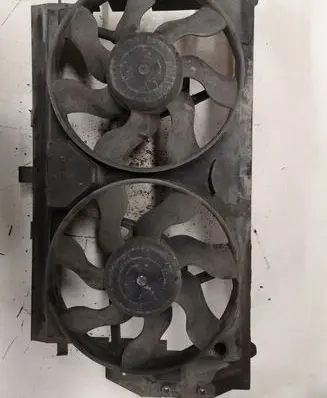 Citroen Xantia Fan set 