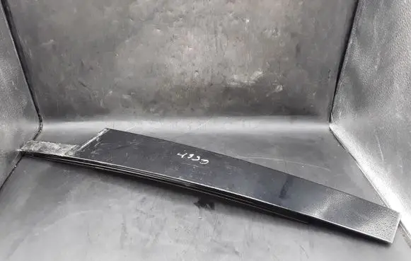 Renault Scenic III - Grand scenic III Front door glass trim molding 802840018R