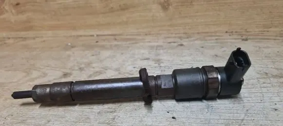 Volvo C70 Fuel injector 0445110298