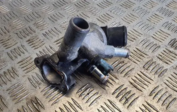 Thermostat/thermostat housing