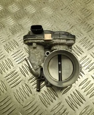 Throttle body valve