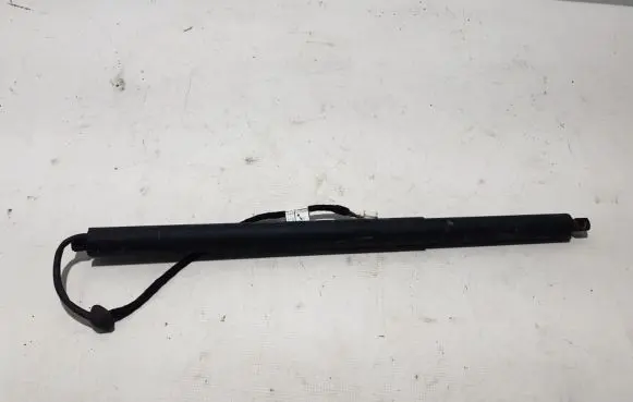 Tailgate strut