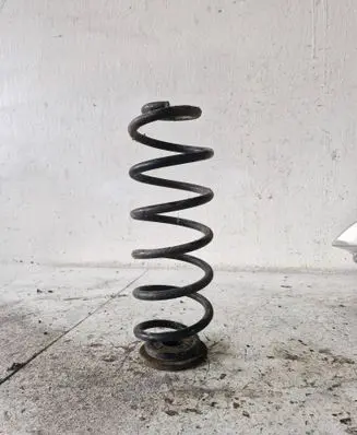 Rear coil spring