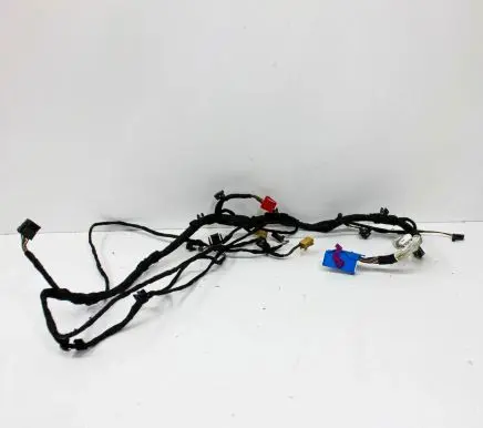 Front door wiring loom