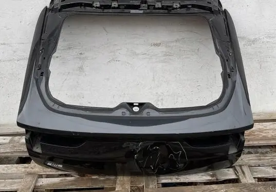 Ford Mustang Mach-E Tailgate/trunk/boot lid LJ8B-R40414-AG