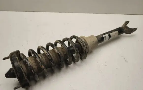 Mercedes-Benz CLS C219 Front shock absorber/damper A2193201913