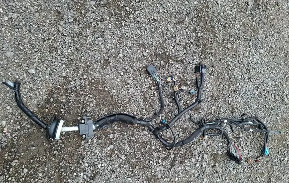 Renault Megane E-Tech Other wiring loom 242968953R