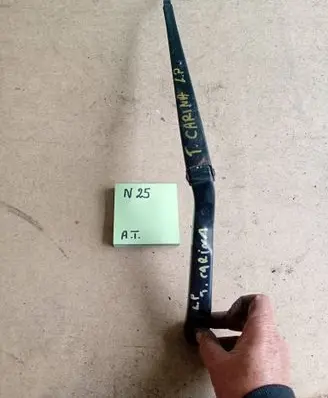 Toyota Carina T190 Front wiper blade arm 215346465
