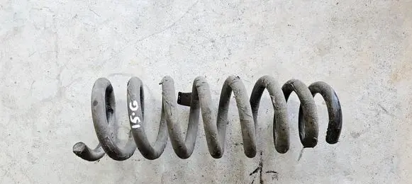 Rear coil spring
