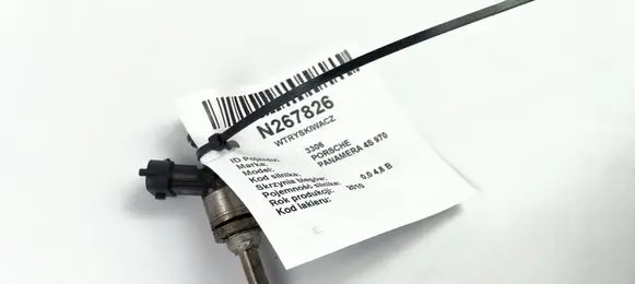 Porsche Panamera (970) Fuel injector 94811012831