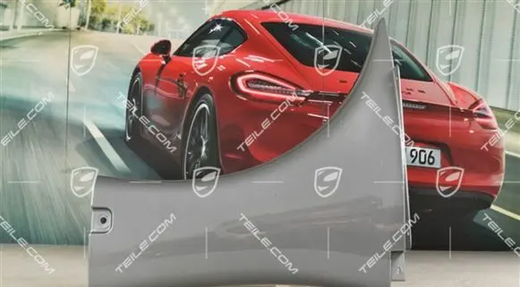 Porsche Carrera GT Fender 98050521401G2X