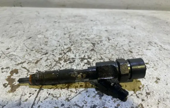 Renault Megane II Fuel injector 0445110110B
