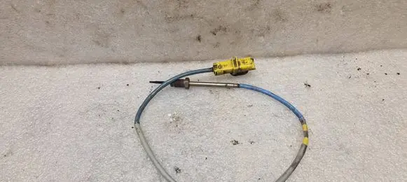 Renault Laguna III Exhaust gas temperature sensor 8200941746