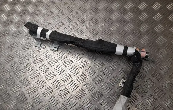 Nissan Primastar Roof airbag 985L18821R