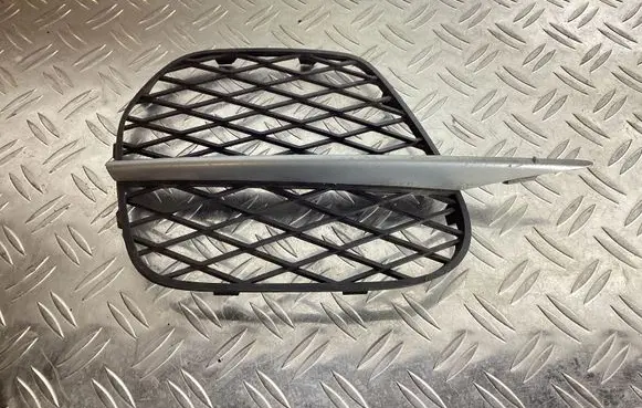 BMW X5 E70 Front bumper lower grill 51117222857