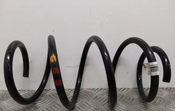 Front coil spring