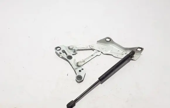 Tesla Model X Engine bonnet/hood hinges 1058041