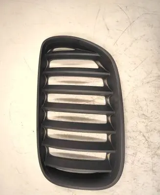 BMW X5 E53 Front grill 51137113737