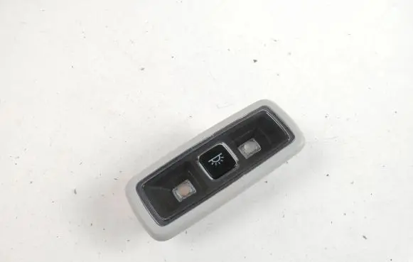 Ford Mustang Mach-E Rear seat light LB5A13K767AD