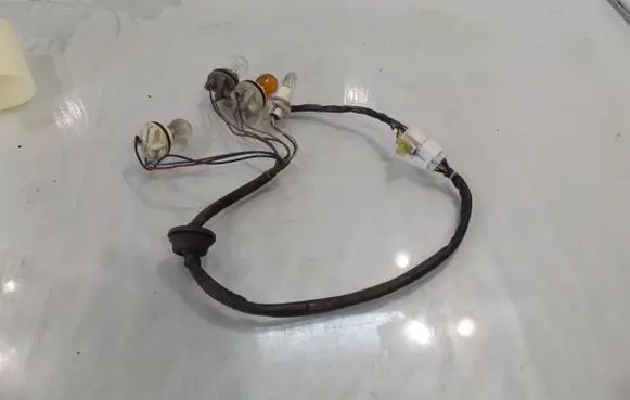 Chevrolet Captiva Tail light bulb cover holder