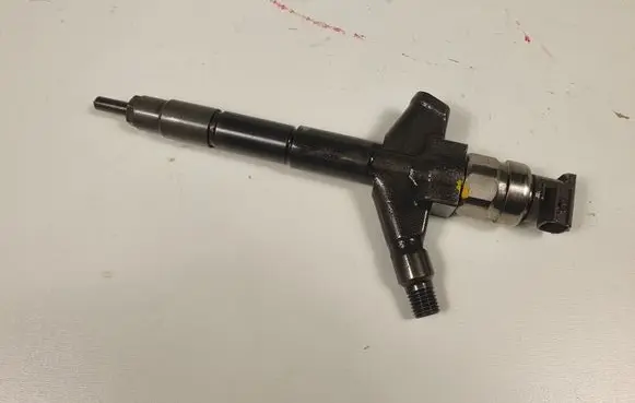 Nissan Navara D40 Fuel injector 166005X00A