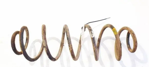 Rear coil spring