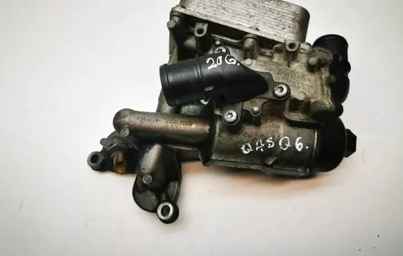 Nissan Qashqai Oil filter mounting bracket 8200797762