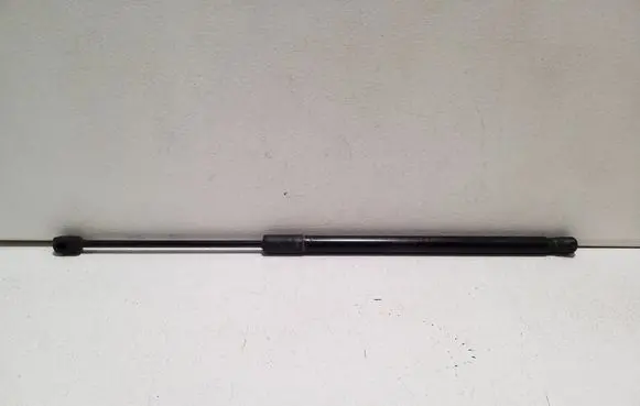 Tailgate/trunk strut/damper
