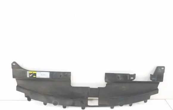 Engine bonnet/hood lock trim molding