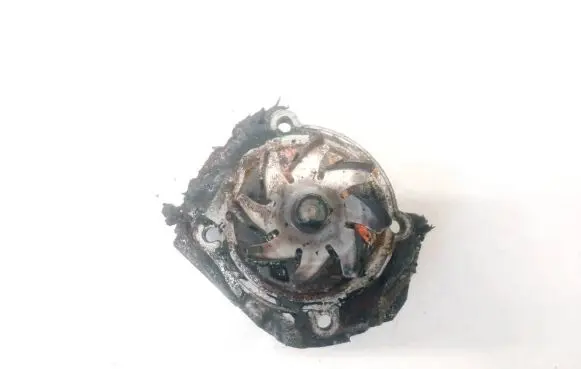 Fiat Punto (188) Water pump