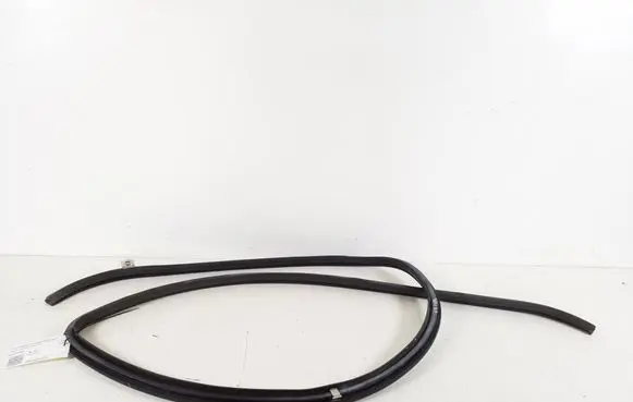 Toyota Urban Cruiser (XP110) Rubber seal front door (on door) 62311-52180
