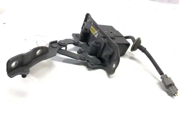 Hyundai Santa Fe Engine bonnet/hood hinges 791602W000