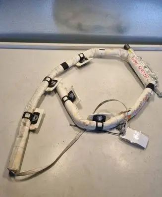 Ford Focus Roof airbag 1B6301500