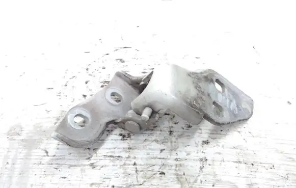 Peugeot Boxer Front door lower hinge 