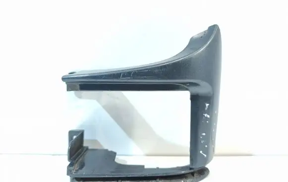 Rear/tail light trim molding