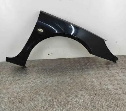Peugeot 407 Fender 7841S6