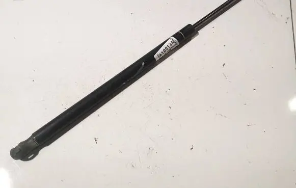 Renault Scenic II - Grand scenic II Tailgate/trunk strut/damper 