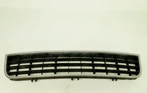 Front bumper lower grill