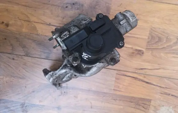 Nissan Qashqai EGR valve D501916000