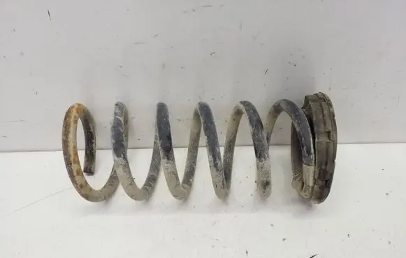 Chevrolet Captiva Rear coil spring 96843023