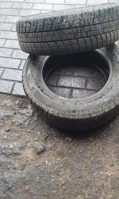 Seat Leon (1P) R15 winter tire 19565r15