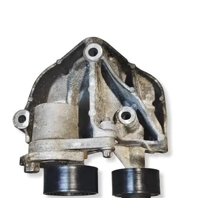 Renault Trafic III (X82) Alternator belt tensioner 117505337R 119297395R