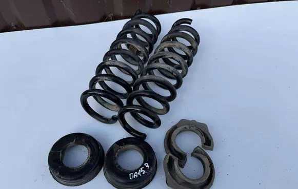 Rear coil spring