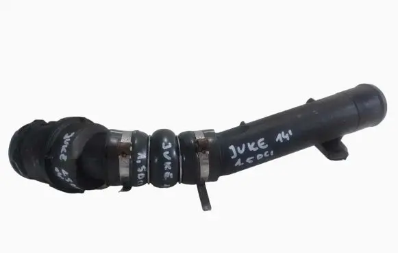 Nissan Juke I F15 Air intake hose/pipe 1103650S01