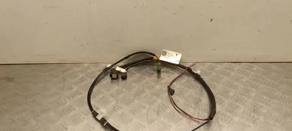 Tesla Model Y Juniper Other wiring loom 193389900C