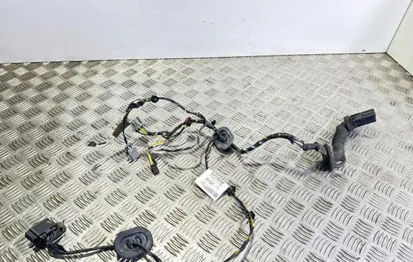 Ford C-MAX I Front door wiring loom 981548105