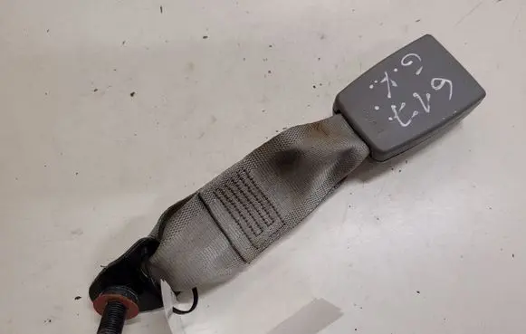 Hyundai Santa Fe Rear seatbelt buckle 07040605