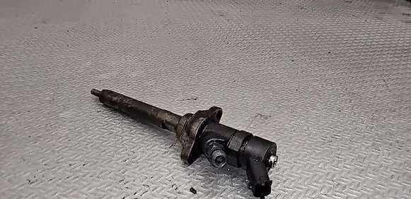Volvo V50 Fuel injector 0445110259