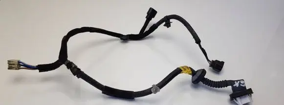 Hyundai Santa Fe Rear door wiring loom 20030225